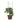 Plantensteunen 5 st met 3 ringen 60 cm staal groen