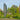 Beschermhoes voor zweefparasols 54/32x290 cm
