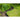 Borderrandset H15 cm x 10 m met pen zwart