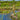 Watertuimelaar II 70 cm bamboe