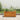 Plantenbak verhoogd 50x25x25 cm acaciahout