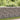 Schanskorfmuur met deksels 50x20x100 cm gegalvaniseerd staal