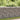 Schanskorfmuur met deksels 900x30x100 cm gegalvaniseerd staal