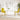 Eetkamerstoelen 2 st fluweel mosterdgeel