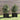 Plantenbakken 2 st 31x31x31 cm massief grenenhout zwart