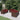 6-delige Loungeset met kussens poly rattan bruin