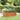 Plantenbak verhoogd 160x80x45 cm cortenstaal roestig