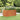 Plantenbak verhoogd 160x80x77 cm cortenstaal roestig