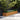 Verhoogde tuinbak 291x50x36 cm cortenstaal