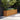 Verhoogde tuinbak 291x50x69 cm cortenstaal