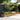 Plantenbak verhoogd 482x100x36 cm cortenstaal
