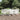 7-delige Tuinset massief grenenhout wit