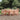 7-delige Tuinset massief douglashout