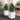 Plantenbakken 2 st 30x30x37 cm polypropeen wit