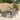 5-delige Tuinset met kussens poly rattan grijs