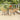 5-delige Tuinset poly rattan