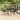 5-delige Tuinset poly rattan zwart