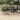 5-delige Tuinset poly rattan zwart