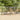 7-delige Tuinset poly rattan