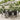 7-delige Tuinset met kussens poly rattan zwart