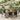 7-delige Tuinset met kussens poly rattan zwart