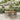 5-delige Tuinset met kussens poly rattan grijs