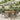 7-delige Tuinset met kussens poly rattan grijs