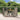 5-delige Tuinset met kussens poly rattan grijs