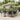 7-delige Tuinset met kussens poly rattan zwart