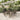 5-delige Tuinset met kussens poly rattan zwart en grijs