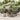 7-delige Tuinset met kussens poly rattan zwart en grijs