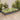 Plantenbak verhoogd met voering 240x120x25 cm vurenhout grijs