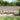 11-delige Loungeset met kussens poly rattan antracietkleurig