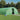 Tuinkas met stalen frame 70 m² 14x5x2,3 m groen