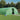 Tuinkas met stalen frame 110 m² 22x5x2,3 m groen