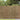 Tuinscherm 400x100 cm riet