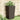 Plantenbakken 4 st 32,5x32,5x57 cm polypropeen bruin
