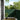 Balkonscherm 120x700 cm 100% oxford polyester donkergroen