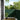 Balkonscherm 120x1000 cm 100% oxford polyester donkergroen