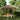 Partytent inklapbaar pop-up 292x292x315 cm bruin