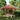 Partytent inklapbaar pop-up 292x292x315 cm terracotta
