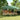 Partytent inklapbaar pop-up 580x292x315 cm bruin