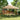 Partytent inklapbaar pop-up 440x292x315 cm beige