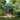 Partytent inklapbaar pop-up 200x200x306 cm groen