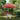Partytent inklapbaar pop-up 200x200x306 cm terracotta