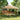 Partytent inklapbaar pop-up 410x279x315 cm beige