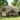 Partytent inklapbaar pop-up met 4 zijwanden taupe