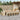 15-delige Tuinset met kussens poly rattan beige