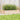 Plantenbak 110x60x23 cm massief grenenhout