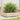 Plantenbak 100x100x26,5 cm massief grenenhout